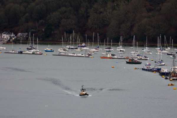 16 January 2021 - 08-59-09
All on its lonesome. One of the Lower Ferry tugs come downstream to return to duty.
------------------------
Dartmouth Lower Ferry tug.